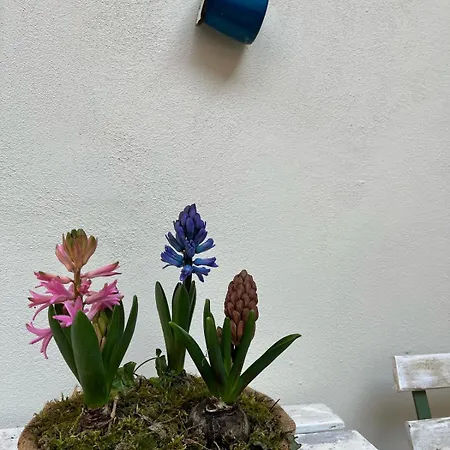 Apartment Il Cortiletto Sotto La Mole Turin